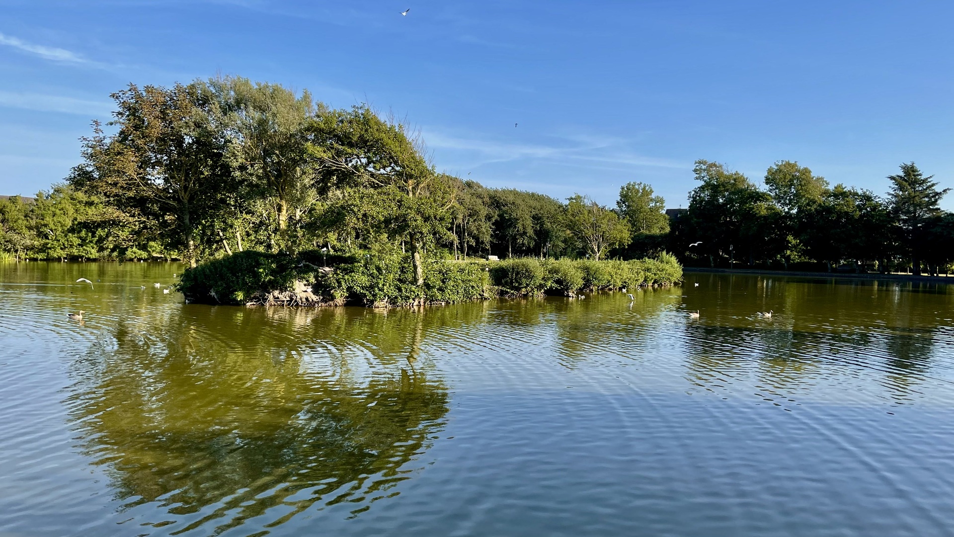 Dorfteich Wenningstedt