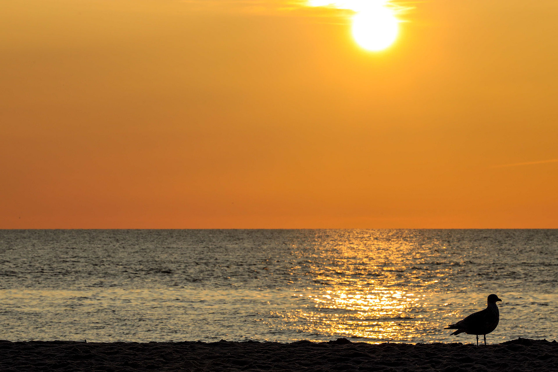 Sunset Westerland