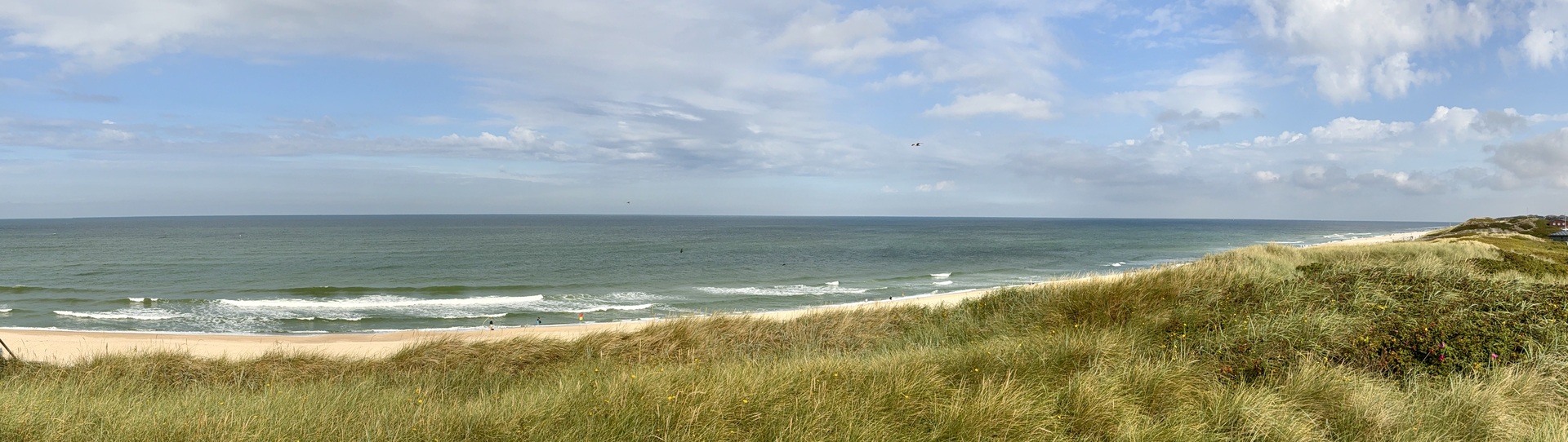 Westerland