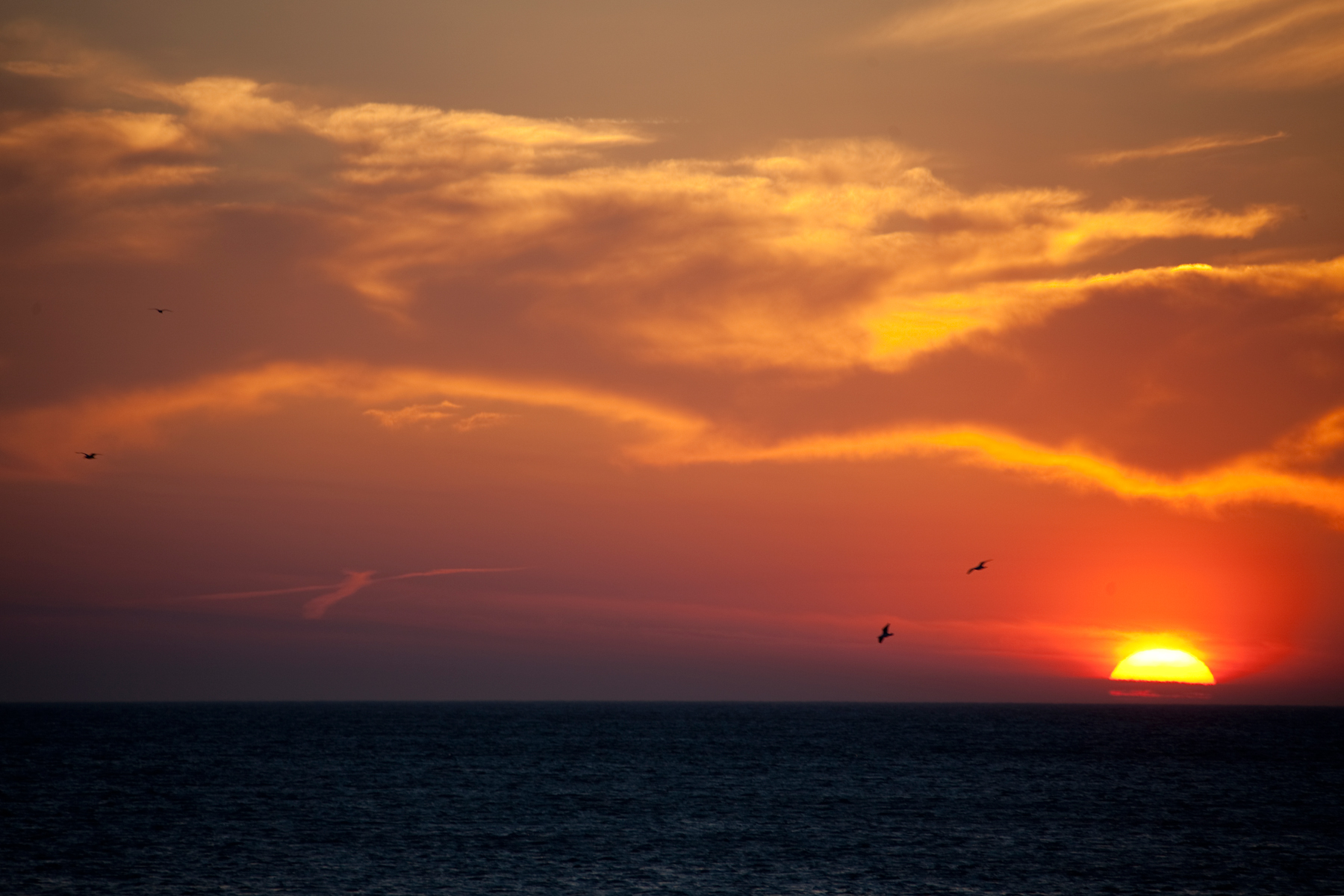 Sunset Westerland