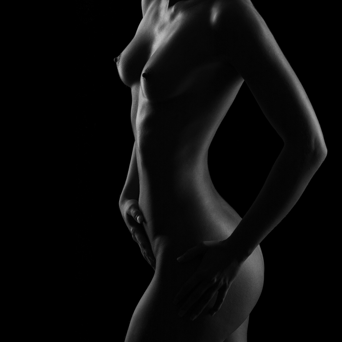 body scape - Sieger 2008 ästhet. Akt